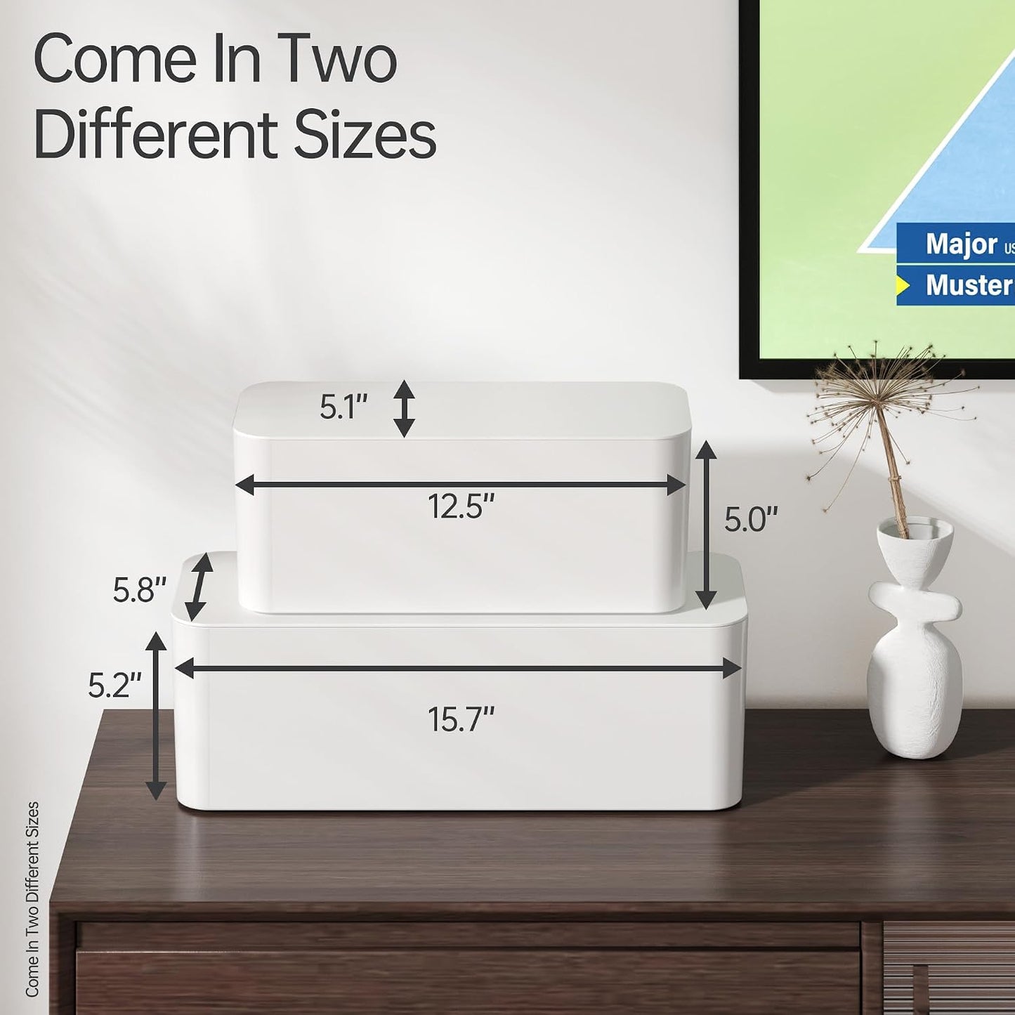 LazySpin 2 Pack Cable Organizer Box, Hide Power Strips Cable Management Box, White